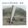 機(jī)艙罩、輪轂罩檢測評估、維修